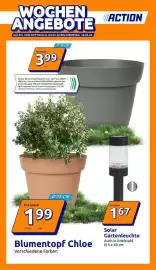 Action Flugblatt woche 10 Seite 1