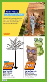 Action Flugblatt woche 10 Seite 19