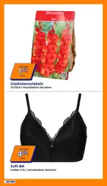 Action Flugblatt woche 10 Seite 22