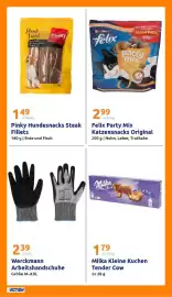 Action Flugblatt woche 10 Seite 26