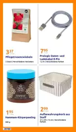 Action Flugblatt woche 10 Seite 27