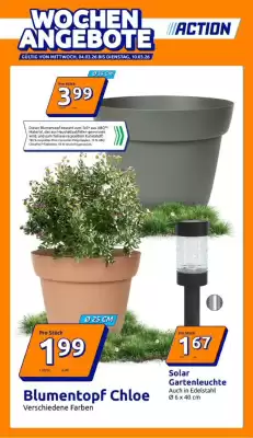 Action Flugblatt (gültig bis 10-03)