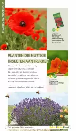 BricoPlanit folder | Tuincatalogus Pagina 104
