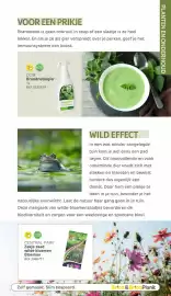 BricoPlanit folder | Tuincatalogus Pagina 105