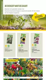 BricoPlanit folder | Tuincatalogus Pagina 106