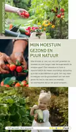 BricoPlanit folder | Tuincatalogus Pagina 133