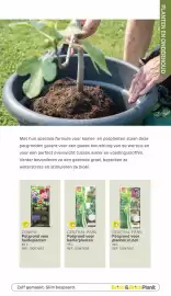 BricoPlanit folder | Tuincatalogus Pagina 158