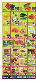 Chalo FreshCo flyer week 10 Page 3
