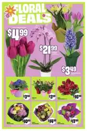 Chalo FreshCo flyer week 10 Page 5