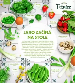 Albert leták Strana 12