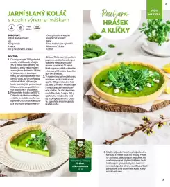 Albert leták Strana 13