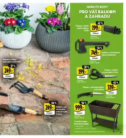 Albert leták Strana 19