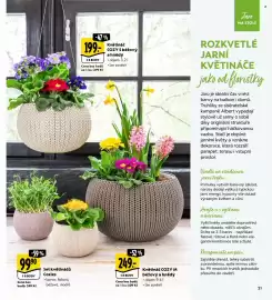 Albert leták Strana 21