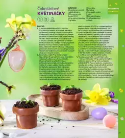 Albert leták Strana 31