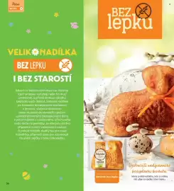 Albert leták Strana 36