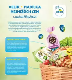 Albert leták Strana 40