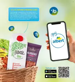 Albert leták Strana 41