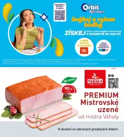 Albert leták Strana 55