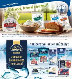 Albert leták Strana 59