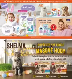 Albert leták Strana 70