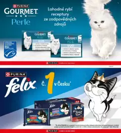 Albert leták Strana 71