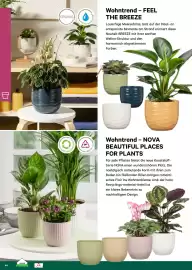 Lagerhaus Flugblatt Seite 44