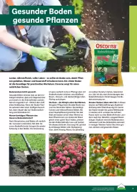 Lagerhaus Flugblatt Seite 9