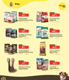 Kakadu gazetka Strona 3