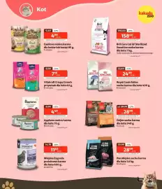 Kakadu gazetka Strona 5