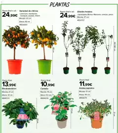 Catálogo Costco Página 2