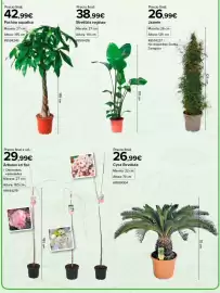 Catálogo Costco Página 3