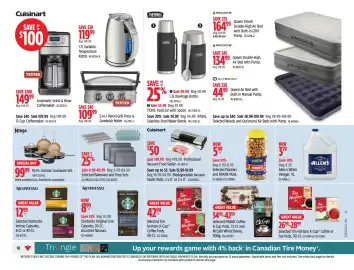 Canadian Tire flyer week 10 Page 17