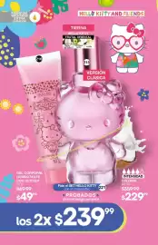 Catálogo Fuller Página 102