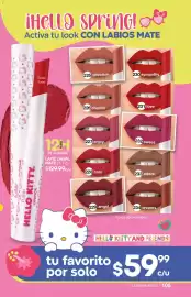 Catálogo Fuller Página 105