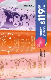 Catálogo Fuller Página 107