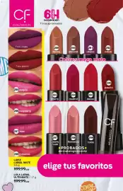 Catálogo Fuller Página 114