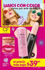 Catálogo Fuller Página 117