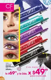 Catálogo Fuller Página 118