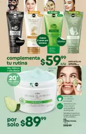 Catálogo Fuller Página 126