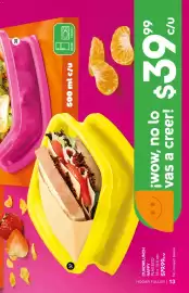 Catálogo Fuller Página 13