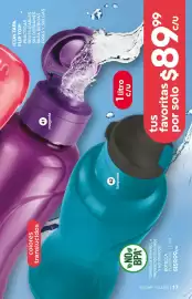 Catálogo Fuller Página 17