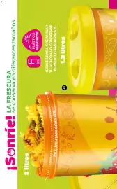 Catálogo Fuller Página 18