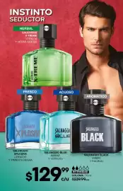 Catálogo Fuller Página 180