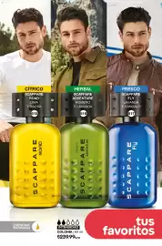 Catálogo Fuller Página 182