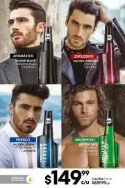 Catálogo Fuller Página 184