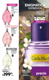 Catálogo Fuller Página 192