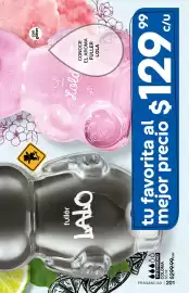 Catálogo Fuller Página 201