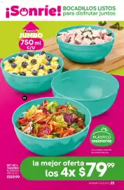 Catálogo Fuller Página 25