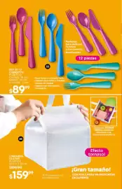 Catálogo Fuller Página 26