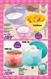 Catálogo Fuller Página 32